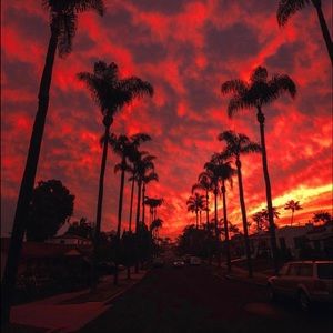 Meet your Posher, Nadine